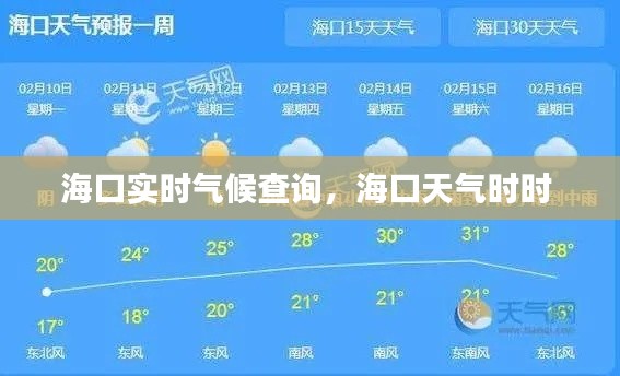 海口实时气候查询,海口天气时时