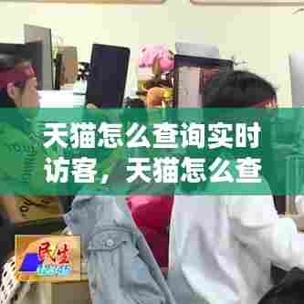 天猫怎么查询实时访客,天猫怎么查询实时访客数量