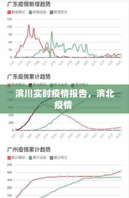 滨川实时疫情报告,滨北疫情