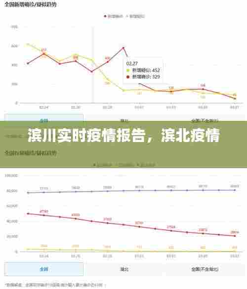 滨川实时疫情报告,滨北疫情