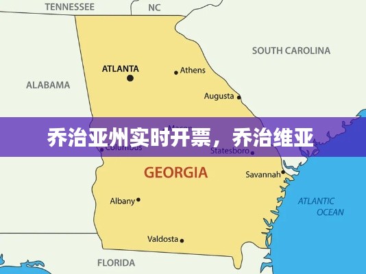 乔治亚州实时开票,乔治维亚