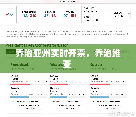 乔治亚州实时开票,乔治维亚