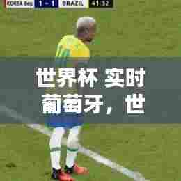世界杯 实时 葡萄牙,世界杯 实时 葡萄牙比分预测