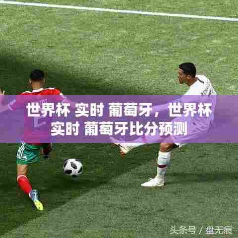 世界杯 实时 葡萄牙,世界杯 实时 葡萄牙比分预测