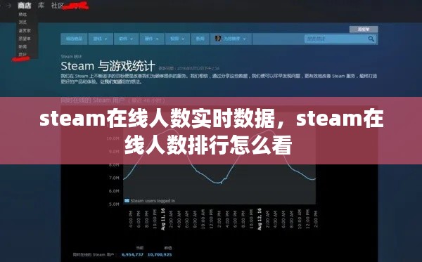 steam在线人数实时数据,steam在线人数排行怎么看