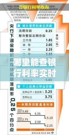 哪里能查银行利率实时数据,在哪查银行利率