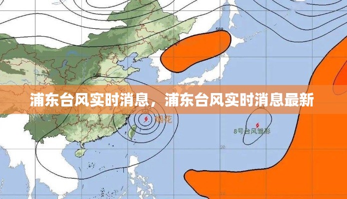 浦东台风实时消息,浦东台风实时消息最新