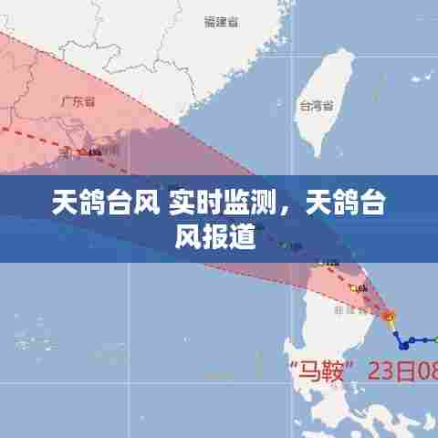 天鸽台风 实时监测，天鸽台风报道 