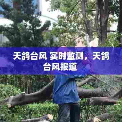 天鸽台风 实时监测,天鸽台风报道