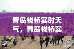 青岛栈桥实时天气,青岛栈桥实时天气
