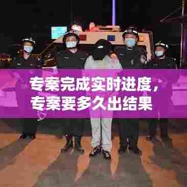 专案完成实时进度,专案要多久出结果