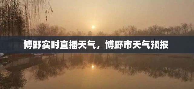 风驰电掣 第8页