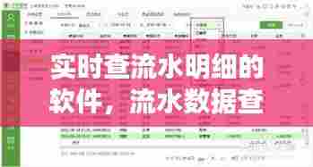 实时查流水明细的软件，流水数据查询 