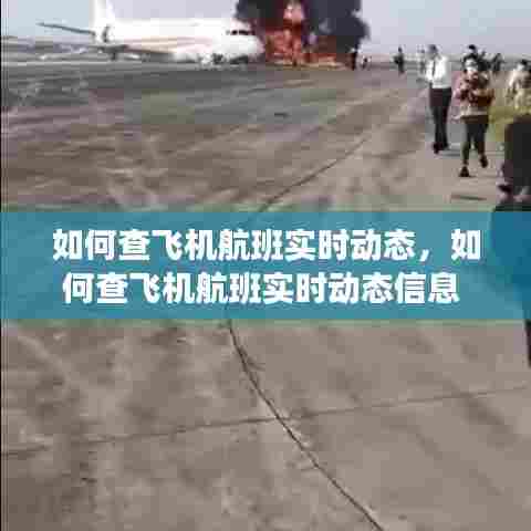 如何查飞机航班实时动态，如何查飞机航班实时动态信息 