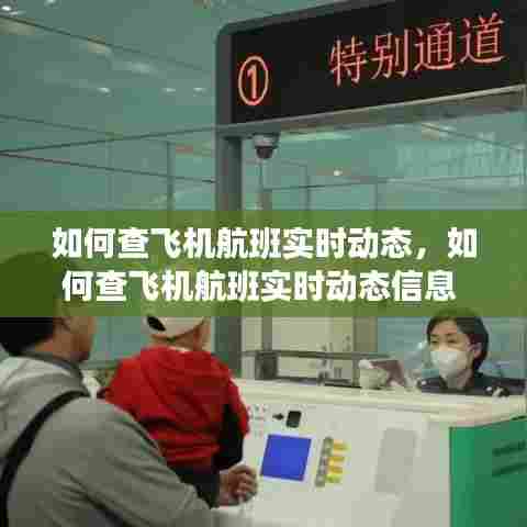 如何查飞机航班实时动态,如何查飞机航班实时动态信息
