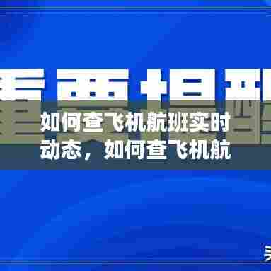 如何查飞机航班实时动态,如何查飞机航班实时动态信息