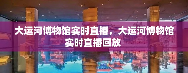 大运河博物馆实时直播，大运河博物馆实时直播回放 