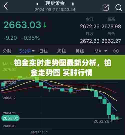 铂金实时走势图最新分析，铂金走势图 实时行情 
