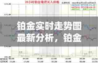 铂金实时走势图最新分析,铂金走势图 实时行情