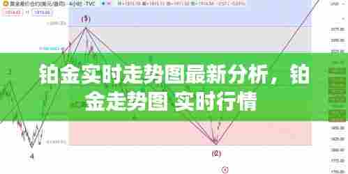 铂金实时走势图最新分析,铂金走势图 实时行情