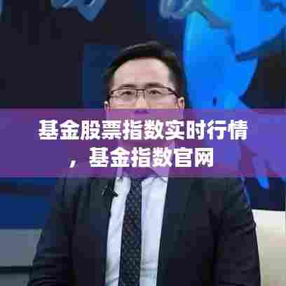 基金股票指数实时行情,基金指数官网