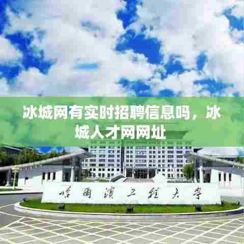 冰城网有实时招聘信息吗,冰城人才网网址