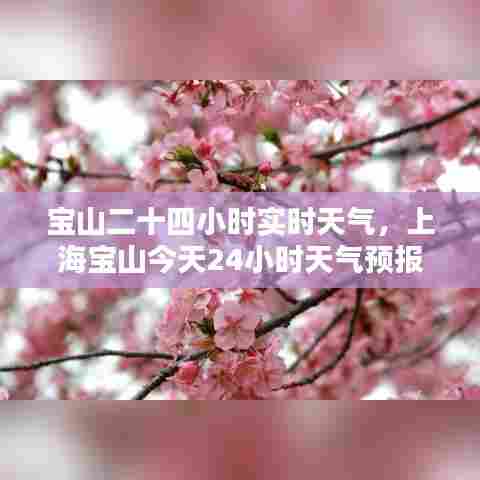 宝山二十四小时实时天气，上海宝山今天24小时天气预报查询 