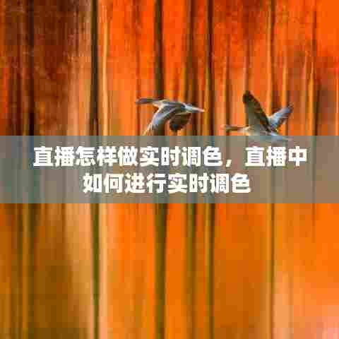 直播怎样做实时调色,直播中如何进行实时调色