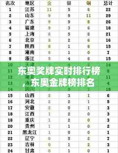 东奥奖牌实时排行榜,东奥金牌榜排名