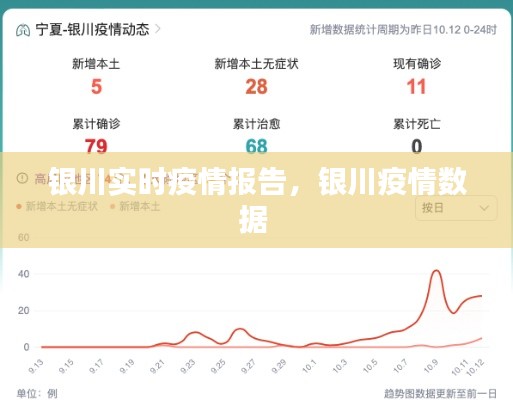 银川实时疫情报告,银川疫情数据