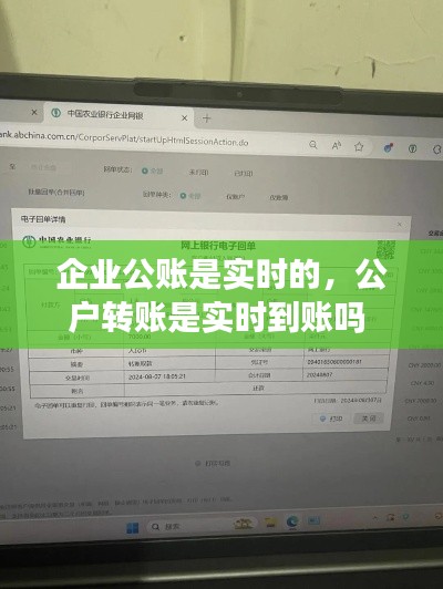 企业公账是实时的,公户转账是实时到账吗