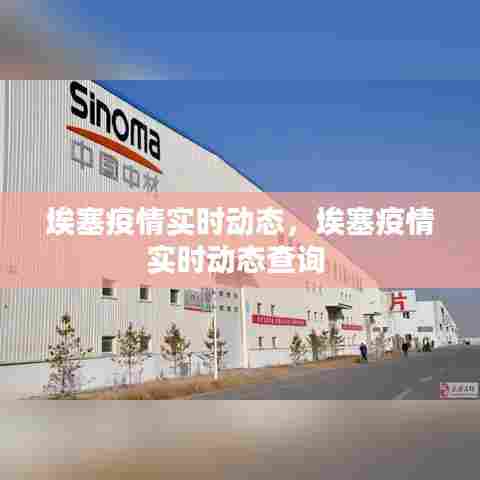 服务支持 第310页