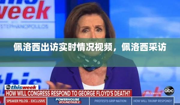 佩洛西出访实时情况视频,佩洛西采访