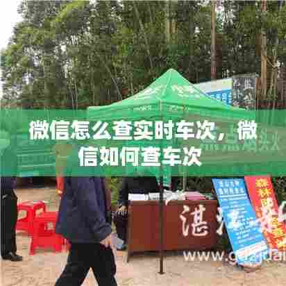微信怎么查实时车次，微信如何查车次 