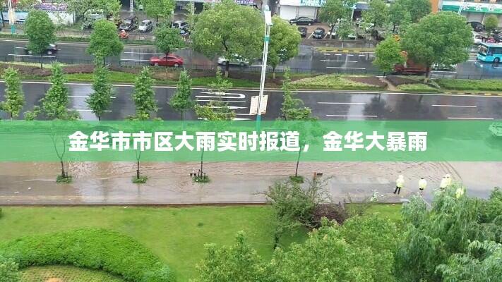 金华市市区大雨实时报道,金华大暴雨