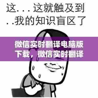 微信实时翻译电脑版下载,微信实时翻译小程序