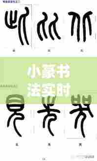 小篆书法实时直播平台下载，小篆书法视频教程 