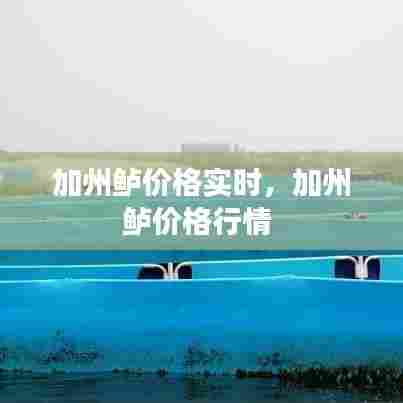 加州鲈价格实时，加州鲈价格行情 