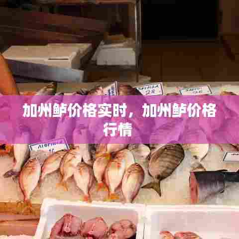 加州鲈价格实时,加州鲈价格行情