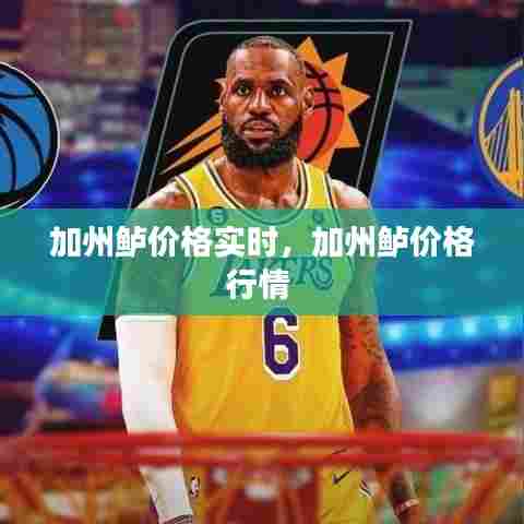 加州鲈价格实时,加州鲈价格行情