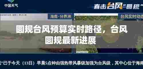 首鼠两端 第7页