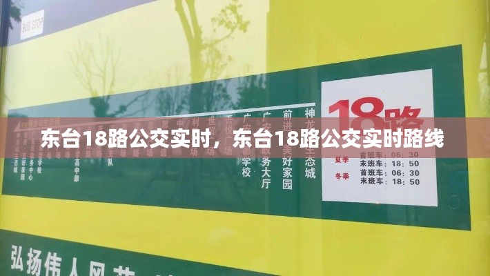 东台18路公交实时，东台18路公交实时路线 