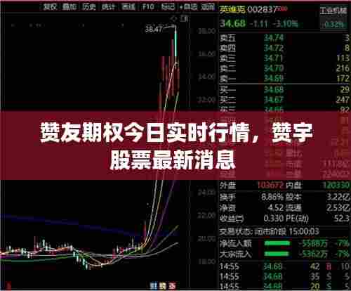 赞友期权今日实时行情,赞宇股票最新消息