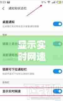 显示实时网速作用是什么,显示实时网速在哪里打开
