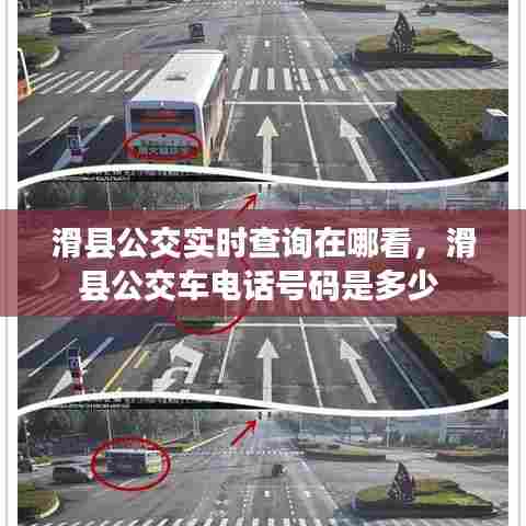 滑县公交实时查询在哪看，滑县公交车电话号码是多少 