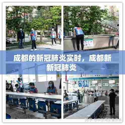 成都的新冠肺炎实时，成都新新冠肺炎 