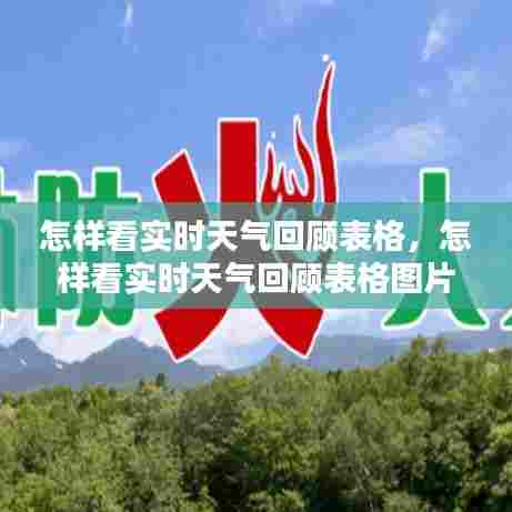怎样看实时天气回顾表格,怎样看实时天气回顾表格图片