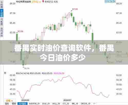 番禺实时油价查询软件,番禺今日油价多少