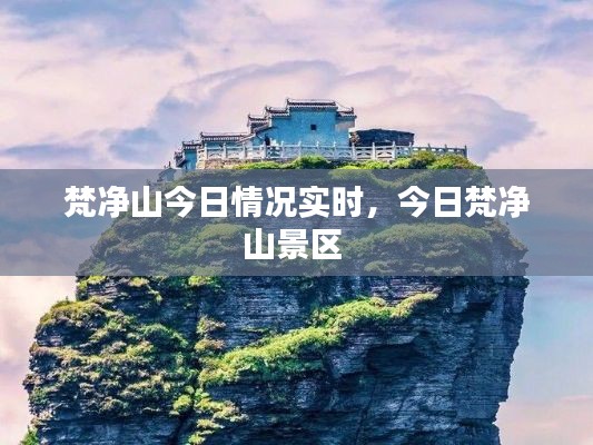 新闻动态 第319页