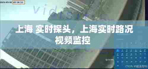 上海 实时探头,上海实时路况视频监控